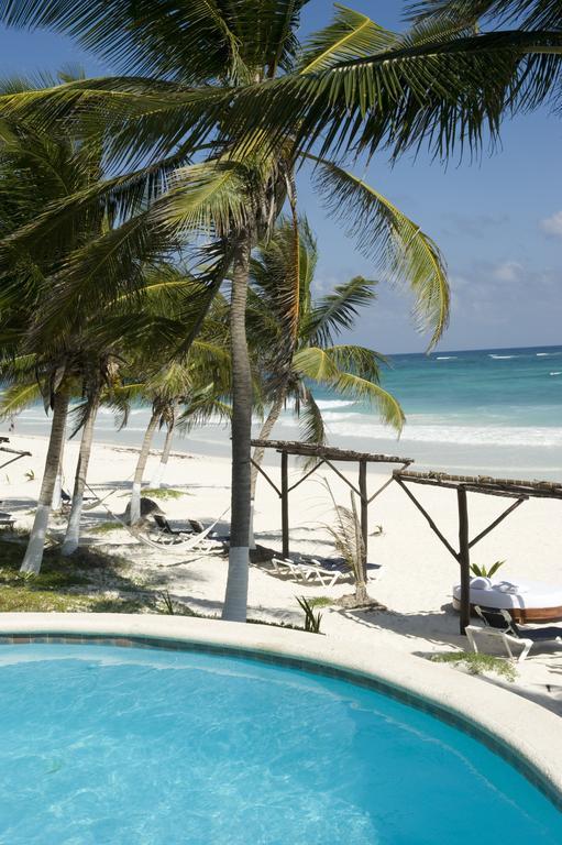 Las Ranitas Eco Boutique Hotel Tulum Værelse billede